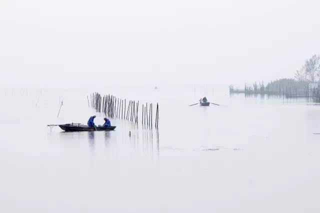 金秋十月白马湖，无处不在迷死人的美景